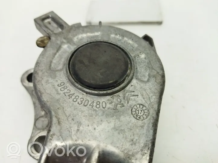 Peugeot 308 SW  Napinacz paska alternatora 9824830480