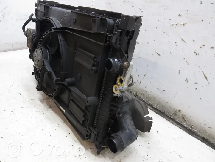 Volvo V40 Jäähdyttimen kehyksen suojapaneeli 31383998