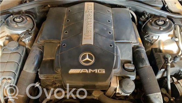 MERCEDES BENZ M113 ENGINE ��������������