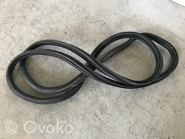 Opel Insignia A Loading door rubber seal (on body) 