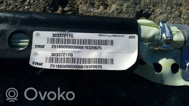 Mercedes-Benz R W251 Stogo oro pagalvė (užuolaida) 2518600905