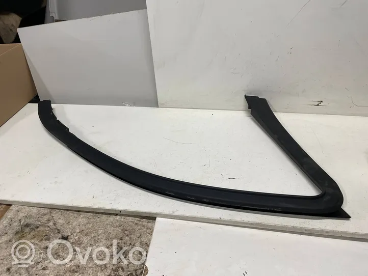 BMW X3 G01 Rivestimento modanatura del vetro della portiera anteriore 7410297