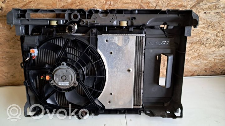 Citroen C3 Picasso Set del radiatore 