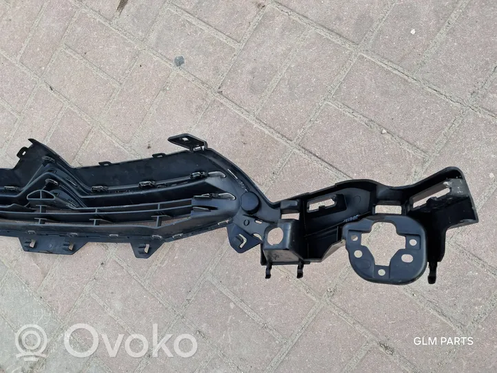 Citroen C4 II Etusäleikkö 9687946280