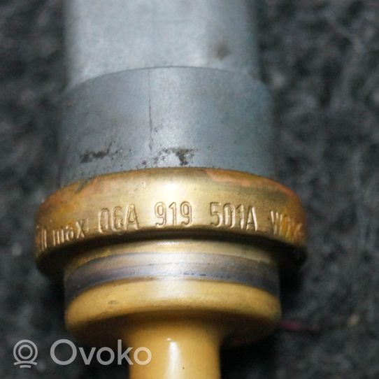 Volkswagen Golf VI Sensore temperatura dell’olio 06A919501A