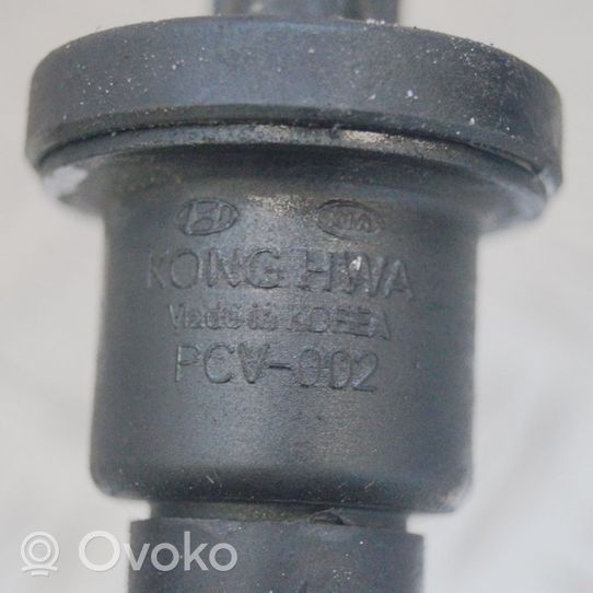 KIA Cerato Brake central valve PCV002