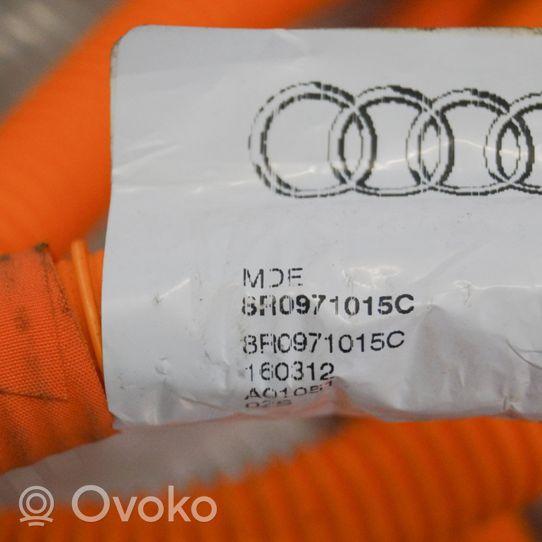 Audi Q5 SQ5 Wiązka przewodów hamulcowych 8R0971015C