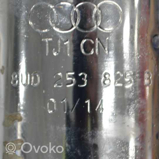 Audi Q3 8U Parte terminale marmitta 8U0253825B
