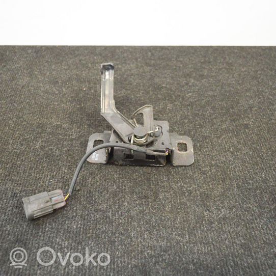 Opel Insignia A Engine bonnet/hood lock/latch loop/hook 13313239