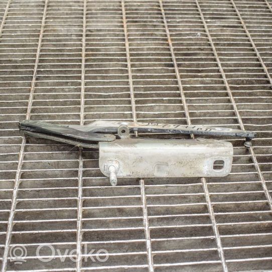 Land Rover Discovery 4 - LR4 Cerniere del vano motore/cofano BKB780021