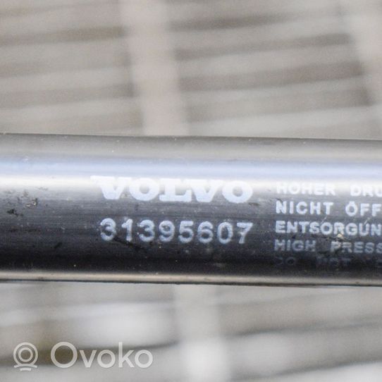 Volvo V40 Molla di tensione del portellone posteriore/bagagliaio 31395607