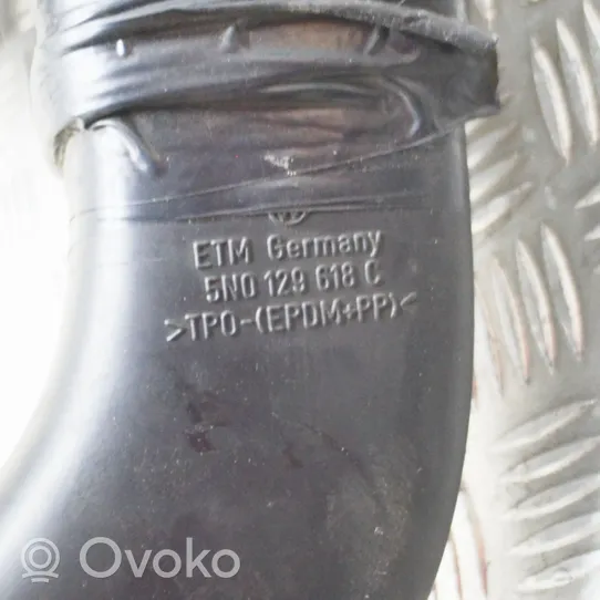 Volkswagen Sharan Oro filtro dėžė 300129607