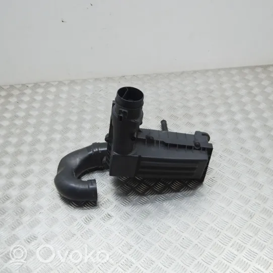 Volkswagen Sharan Oro filtro dėžė 300129607