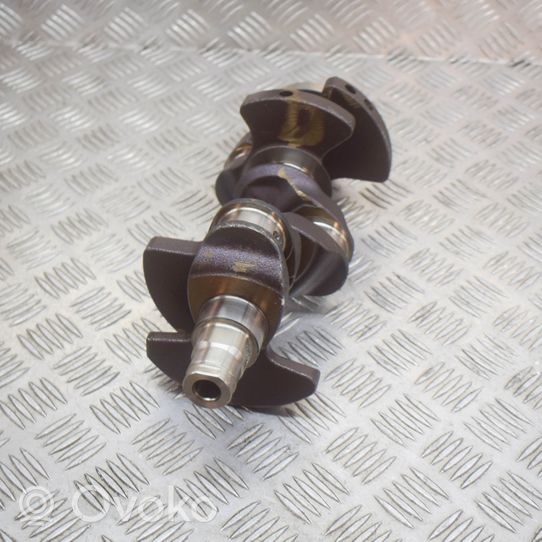 Volkswagen Polo V 6R Crankshaft 