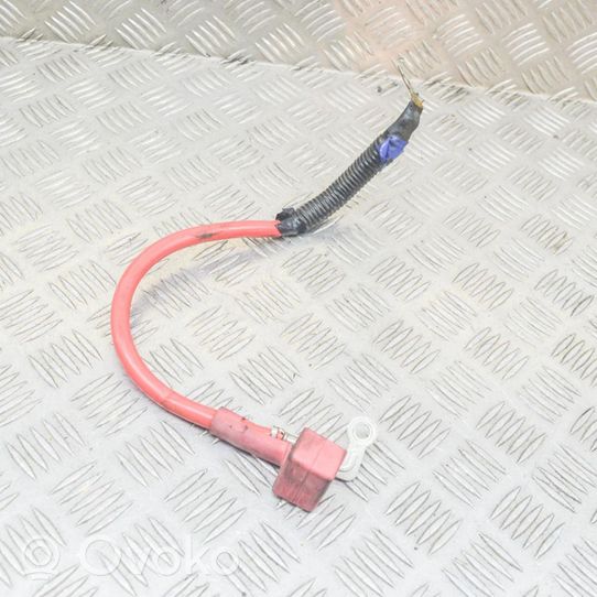 Ford Ranger Positive cable (battery) 
