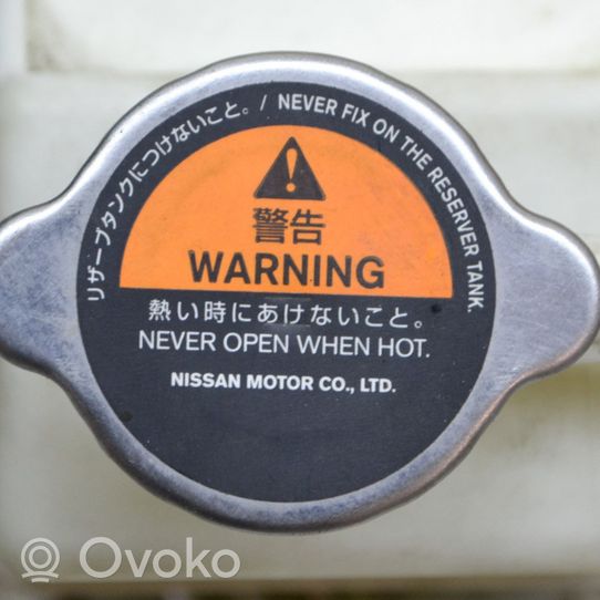 Nissan Leaf I (ZE0) Serbatoio di compensazione del liquido refrigerante/vaschetta 