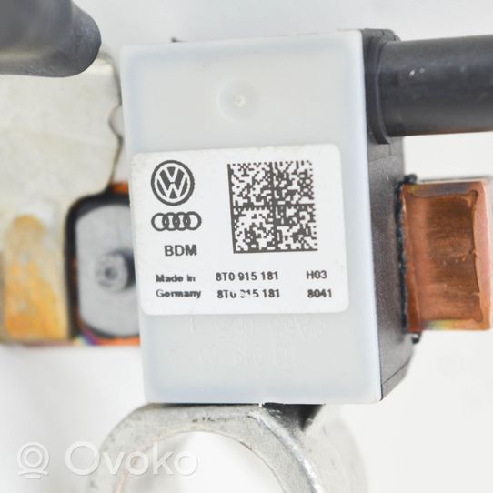 Audi A6 C7 Minusinis laidas (akumuliatoriaus) 8T0915181