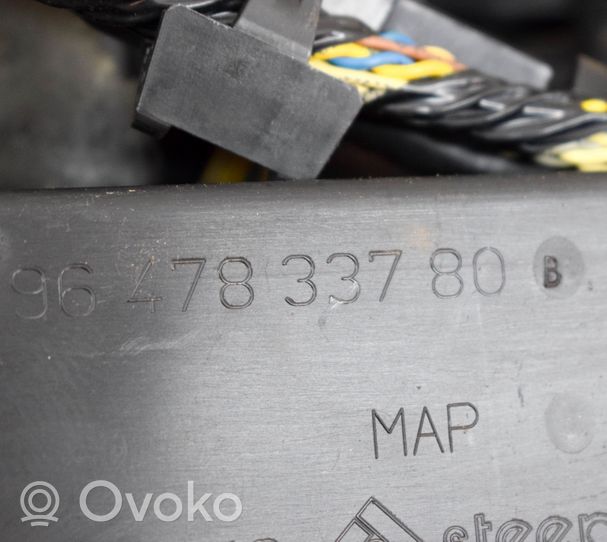 Citroen C6 Brake wiring harness 9647833780B