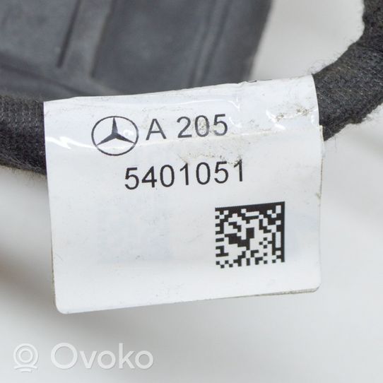 Mercedes-Benz C AMG W205 Faisceau de câblage de porte avant A2055401051