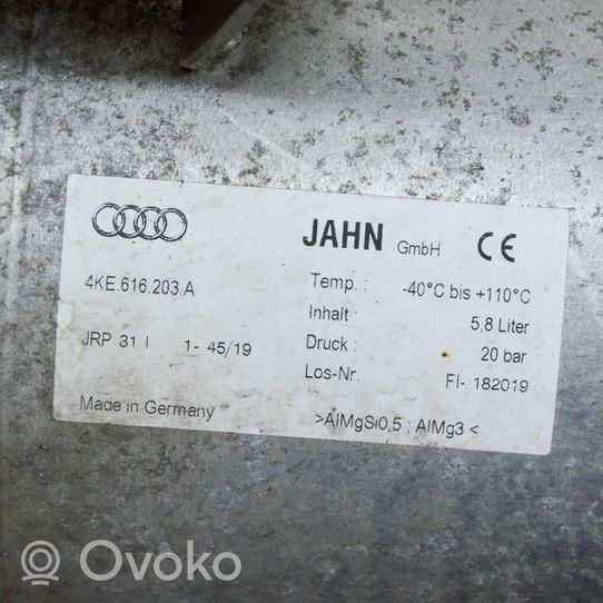 Audi E-tron GT Zbiornik powietrza tylnego zawieszenia pneumatycznego 4KE616203A