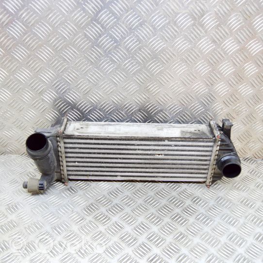 Mercedes-Benz Citan W415 Chłodnica powietrza doładowującego / Intercooler Y5665004