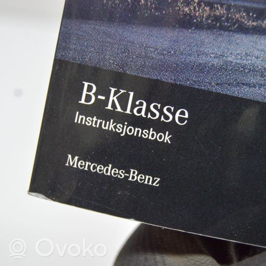 Mercedes-Benz B W247 Instrukcja obsługi A2475847000