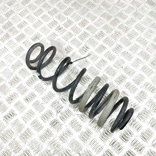 Ford Ecosport Rear coil spring JN115560B3B