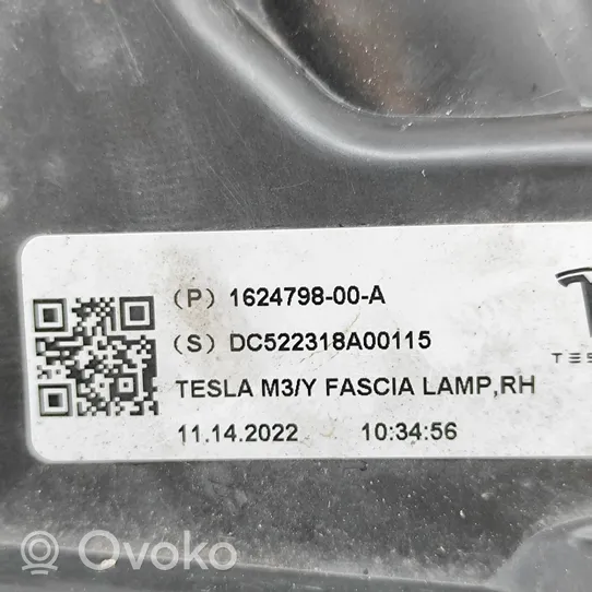 Tesla Model 3 Nebelscheinwerfer vorne 162479800A