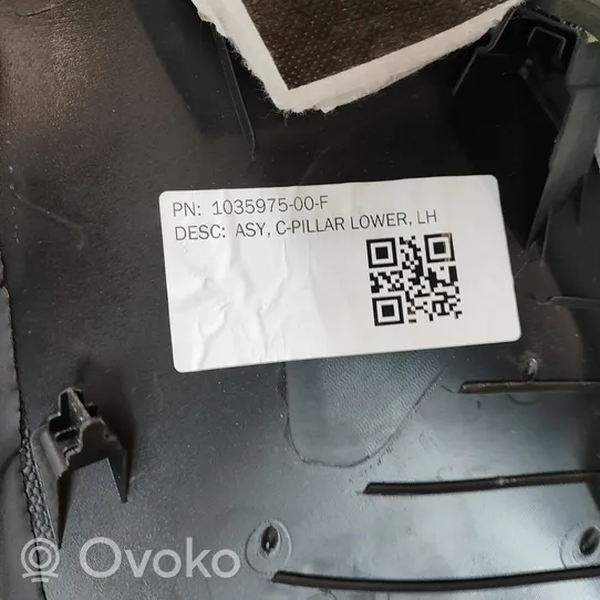 Tesla Model X Moldura inferior lateral del asiento trasero 103597500F