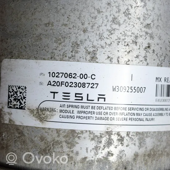 Tesla Model X Amortiguador/suspensión neumática 102706200C