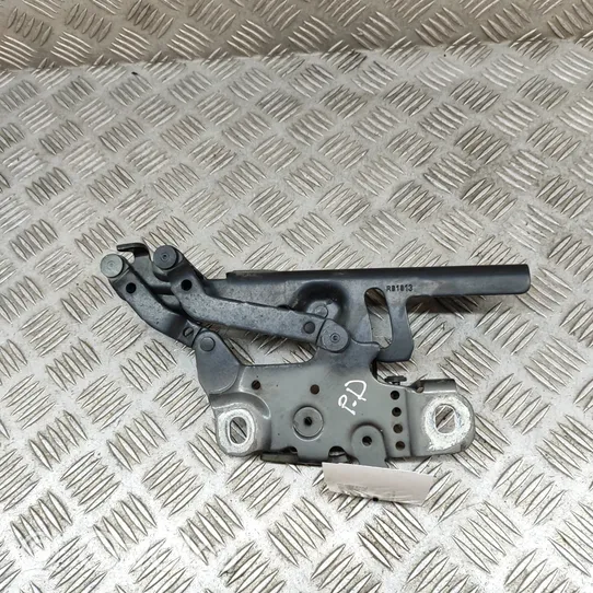 BMW 4 F32 F33 Cerniere del vano motore/cofano 7336700