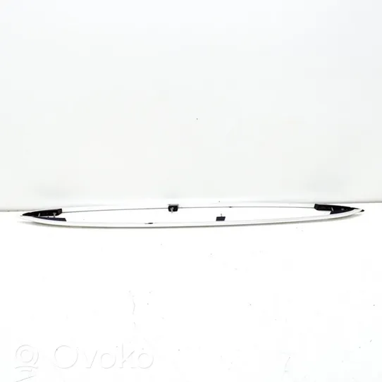 Volkswagen PASSAT B7 Roof transverse bars on the "horns" 3AF860043