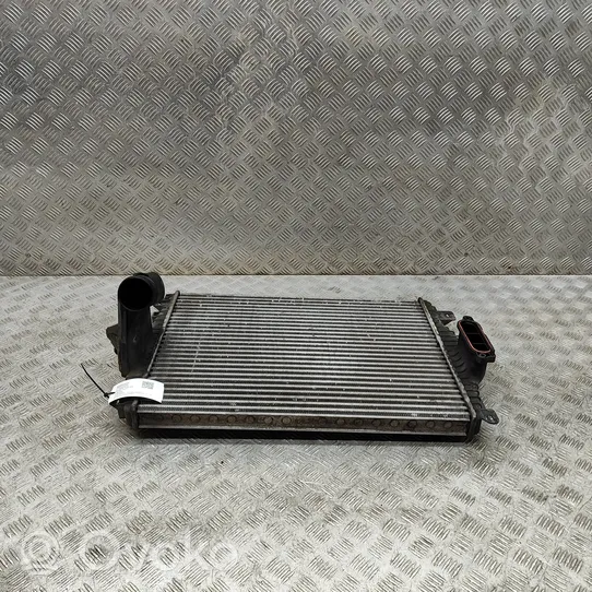 Jaguar XF X250 Starpdzesētāja radiators 9X239L440AA