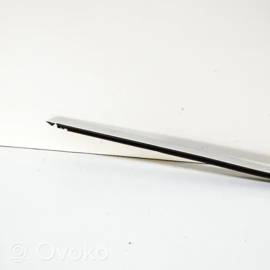 Volvo XC60 Rear door glass trim molding 31371114