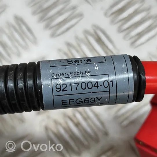 BMW X5 E70 Cavo positivo (batteria) 9217004