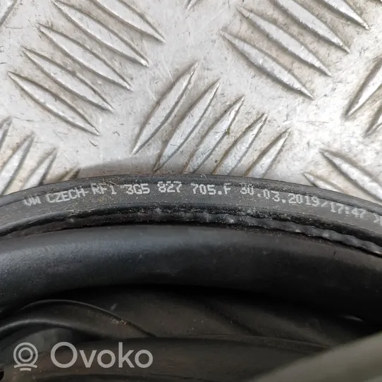 Volkswagen PASSAT B8 Bagažinės sandarinimo guma (ant kėbulo) 3G5827705F