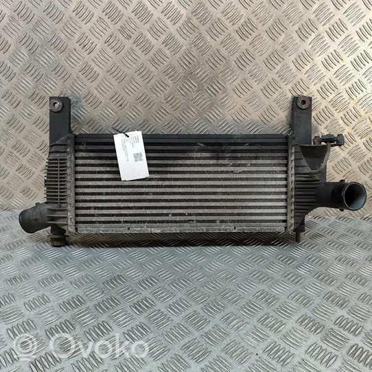 Nissan Pathfinder R51 Chłodnica powietrza doładowującego / Intercooler 14461EB360