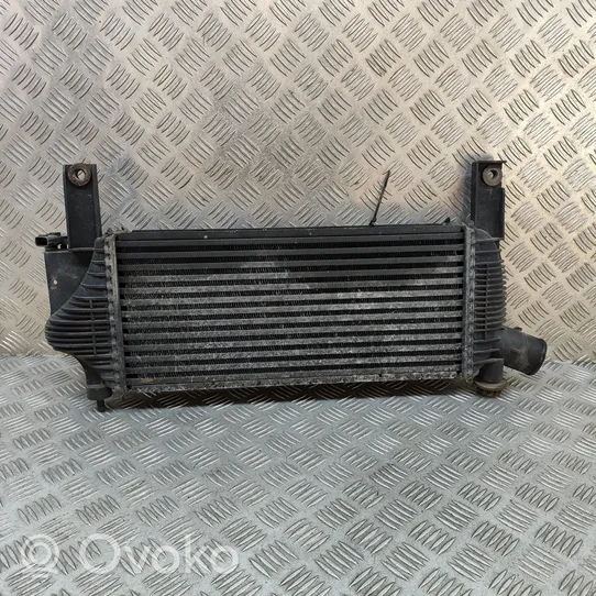 Nissan Pathfinder R51 Chłodnica powietrza doładowującego / Intercooler 14461EB360