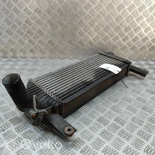 Nissan Pathfinder R51 Chłodnica powietrza doładowującego / Intercooler 14461EB360