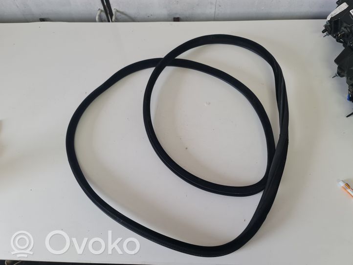 BMW X6 F16 Front door rubber seal 7317823