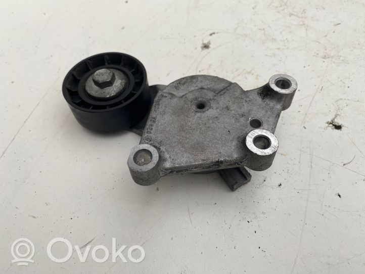 Volvo V40 Tendicinghia generatore/alternatore 846143