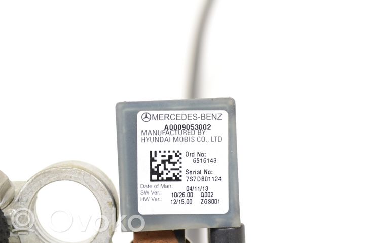 Mercedes-Benz E A207 Cableado positivo A0009053002