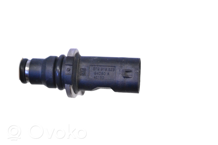 Volkswagen Touareg III Sensore temperatura del liquido di raffreddamento 079919523