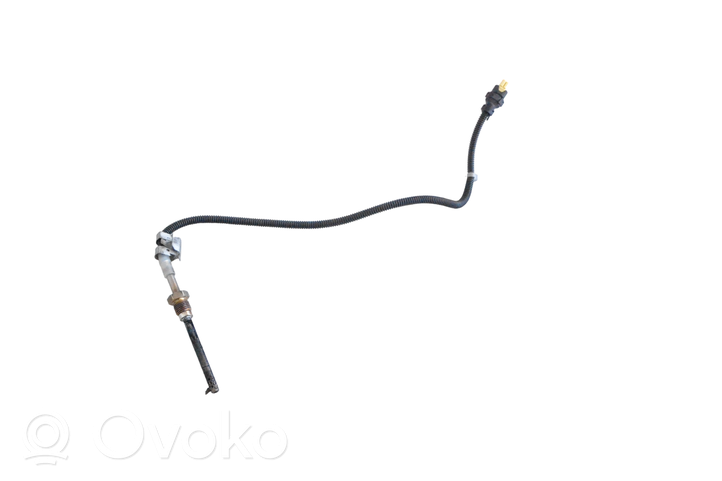 Mercedes-Benz S W222 Oil temperature sensor 411869303992