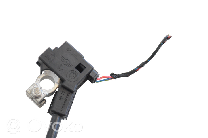 BMW 6 F12 F13 Positive wiring loom 9302356