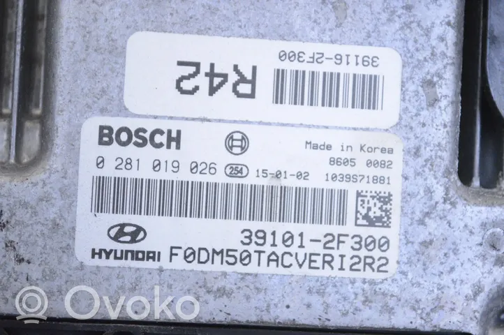Hyundai Santa Fe Sterownik / Moduł ECU 391012F300