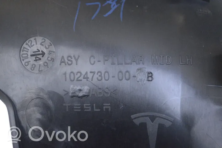 Tesla Model S D-pilarin verhoilu (alaosa) 102473000B