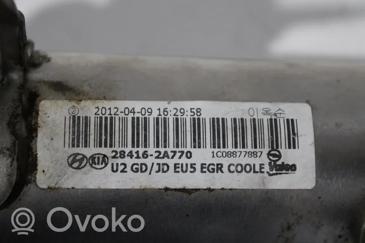 Hyundai i30 Chłodnica spalin EGR 284102A300