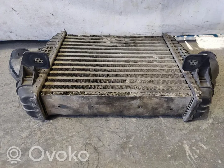 Renault Laguna III Chłodnica powietrza doładowującego / Intercooler 14461MA70A