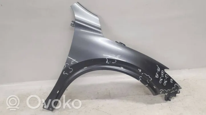 Infiniti Q30 Fender 